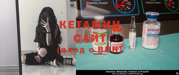 прущие грибы Коряжма
