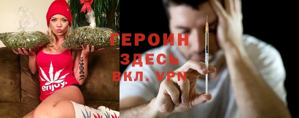прущие грибы Коряжма