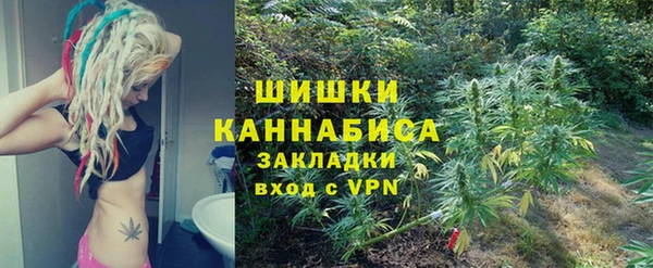 прущие грибы Коряжма