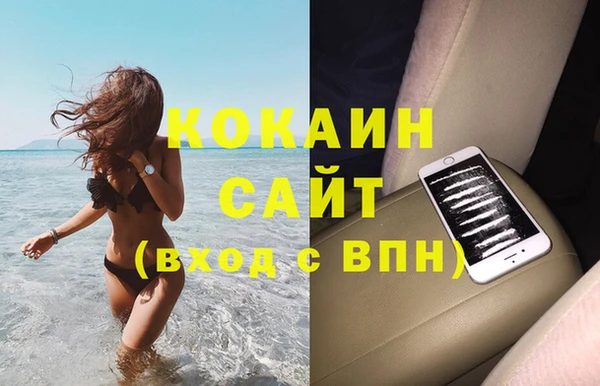прущие грибы Коряжма