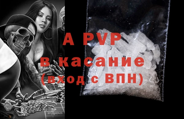 прущие грибы Коряжма
