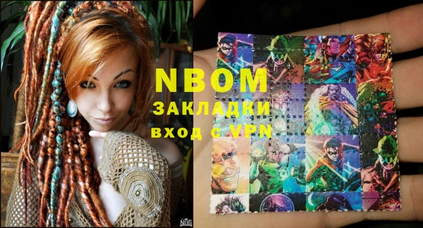 прущие грибы Коряжма