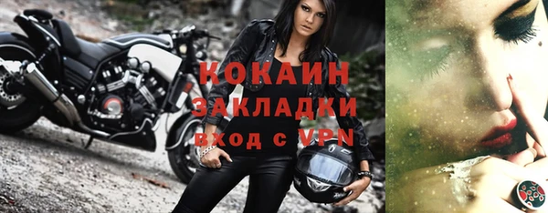 прущие грибы Коряжма