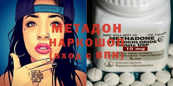 прущие грибы Коряжма