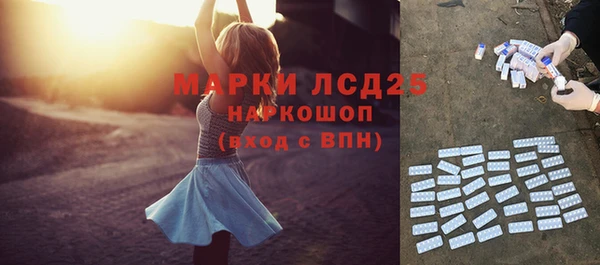 прущие грибы Коряжма