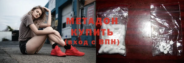 прущие грибы Коряжма