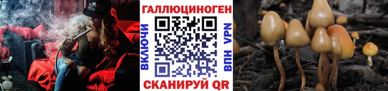 цены наркотик  Светогорск  Псилоцибиновые грибы Psilocybine cubensis 